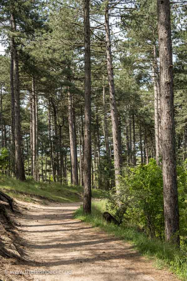park2